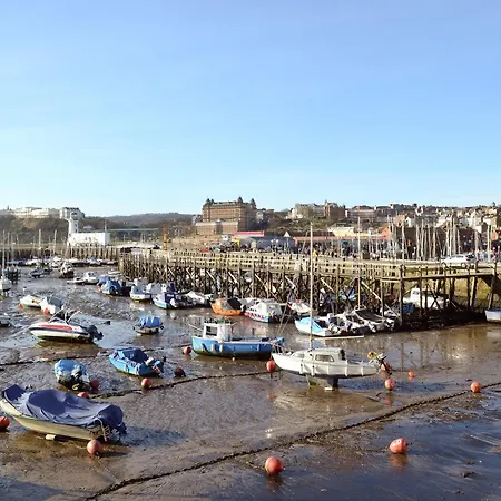 Lady De Seton - Uk31956 *