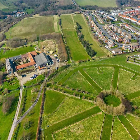 Lady De Seton - Uk31956 * Staithes